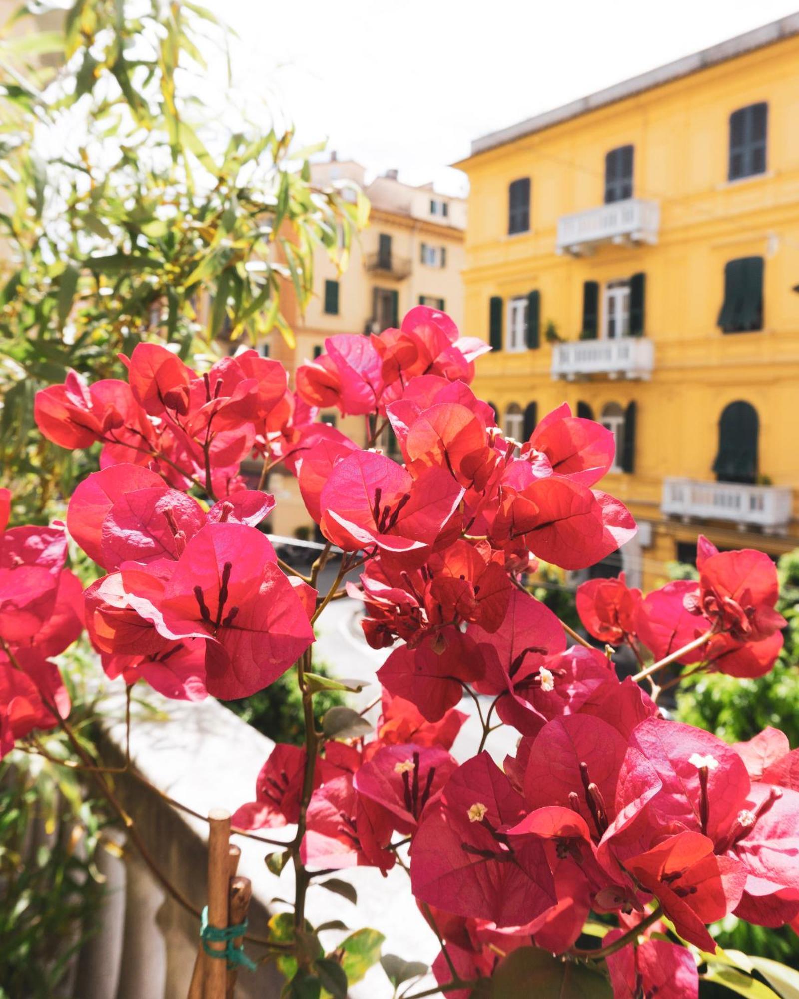 I Sapori Del Levante Guest house La Spezia